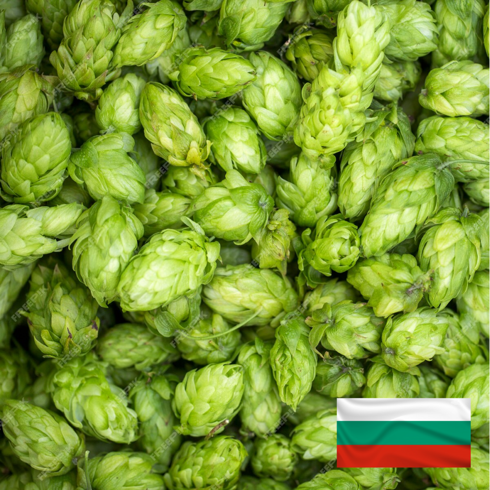 Пресни Шишарки Хмел Bramling Cross, BG - HOPS-BRX-BG-FRE